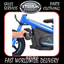 12 KIDS ELECTRIC BALANCE BIKE 100w 24v BLUE WITH QUICK CHANGE BATTERY