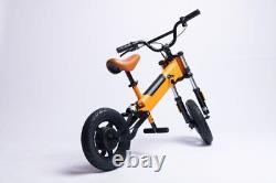 12 Kids Electric Bike Balance Bike 200W 3 Speed 4Ah Battery 5-12 Year Xmas Gift