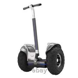 19 Inch Off Road self balance electric scooter glof scooter