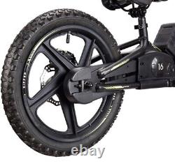 Kids Electric Balance Dirt Bike 200W 16 INCH Removeable Battery Off Road Sur Ron