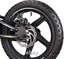 Kids Electric Balance Dirt Bike 200W 16 INCH Removeable Battery Off Road Sur Ron